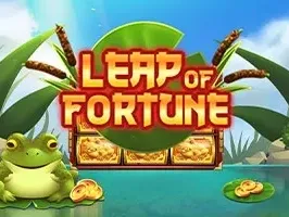 Leap of Fortune screenshot